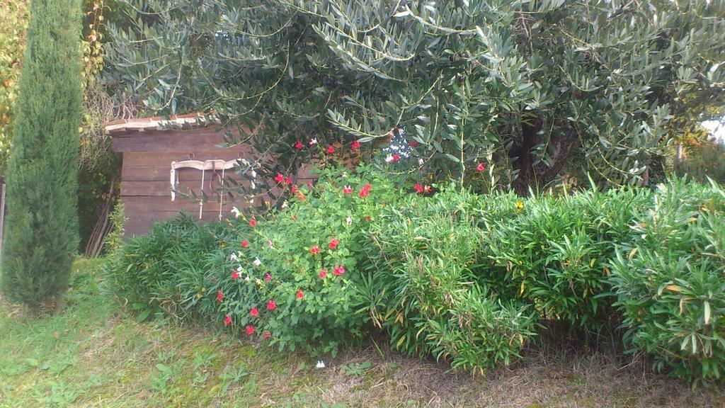 Poggio Dei Prugnoli Bed and Breakfast Tavoleto Εξωτερικό φωτογραφία