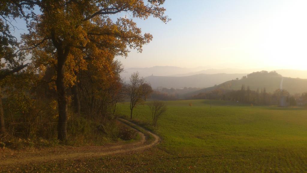 Poggio Dei Prugnoli Bed and Breakfast Tavoleto Εξωτερικό φωτογραφία