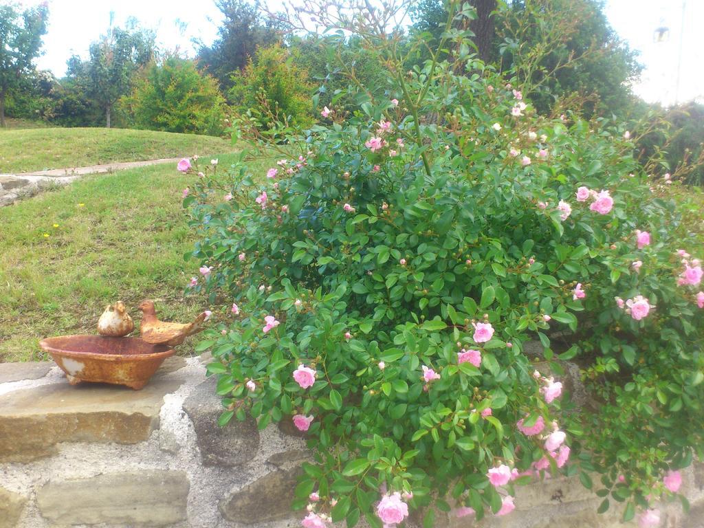 Poggio Dei Prugnoli Bed and Breakfast Tavoleto Εξωτερικό φωτογραφία