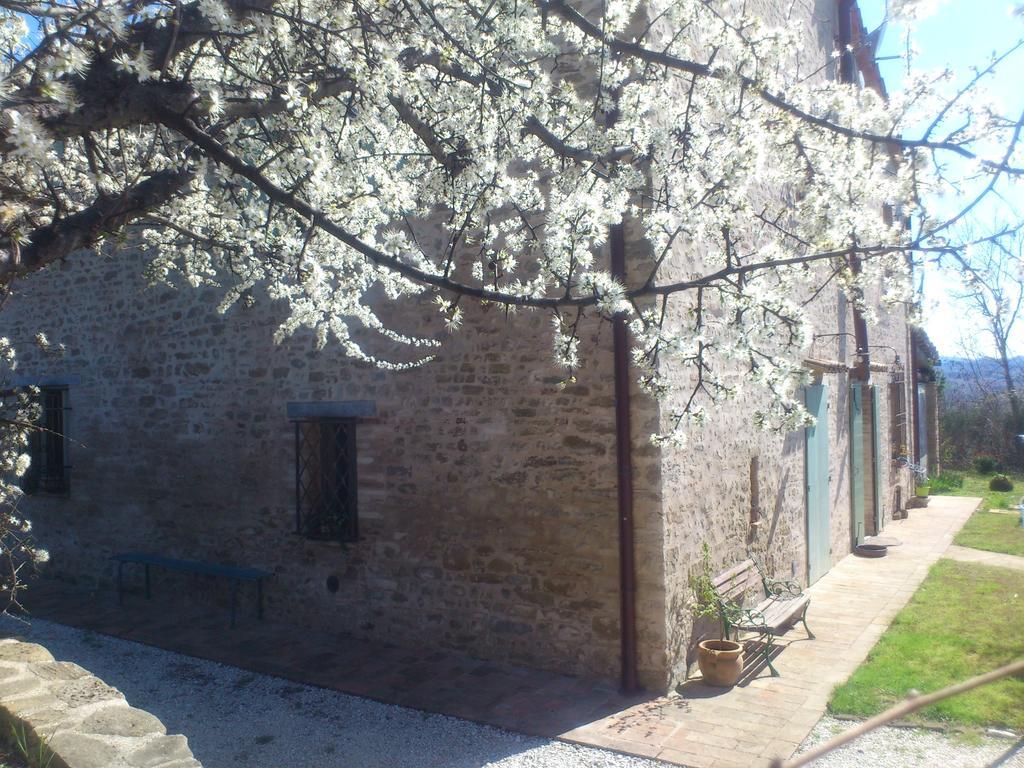 Poggio Dei Prugnoli Bed and Breakfast Tavoleto Εξωτερικό φωτογραφία