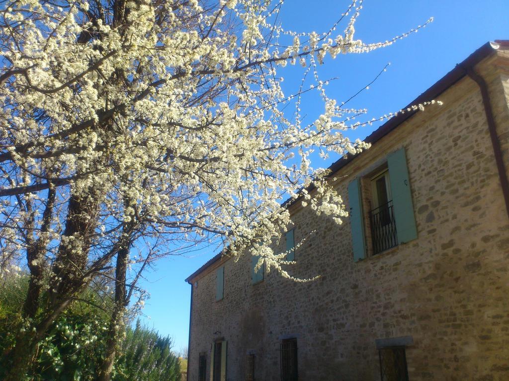 Poggio Dei Prugnoli Bed and Breakfast Tavoleto Εξωτερικό φωτογραφία