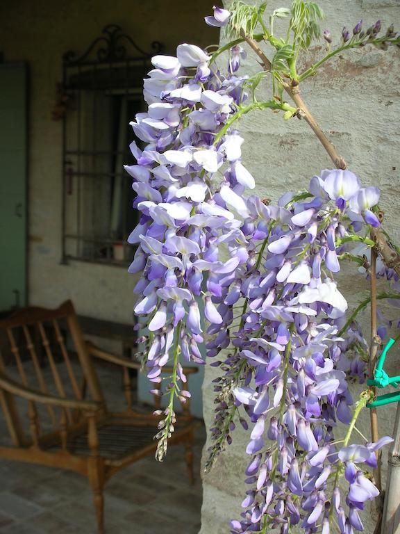 Poggio Dei Prugnoli Bed and Breakfast Tavoleto Εξωτερικό φωτογραφία
