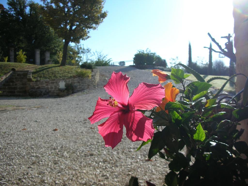 Poggio Dei Prugnoli Bed and Breakfast Tavoleto Εξωτερικό φωτογραφία