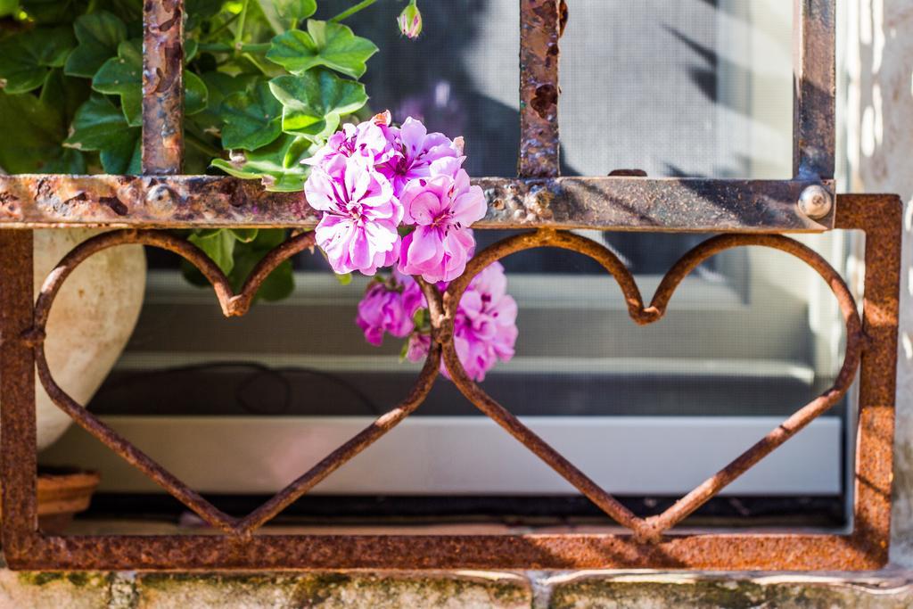 Poggio Dei Prugnoli Bed and Breakfast Tavoleto Εξωτερικό φωτογραφία